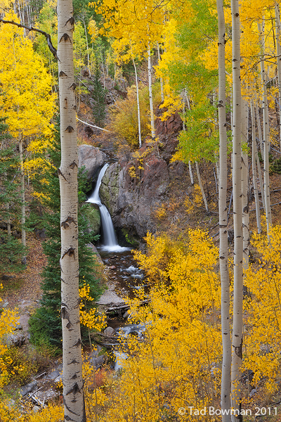 Nellie Creek Waterfall : San Juan Mountains, Colorado : Colorado ...