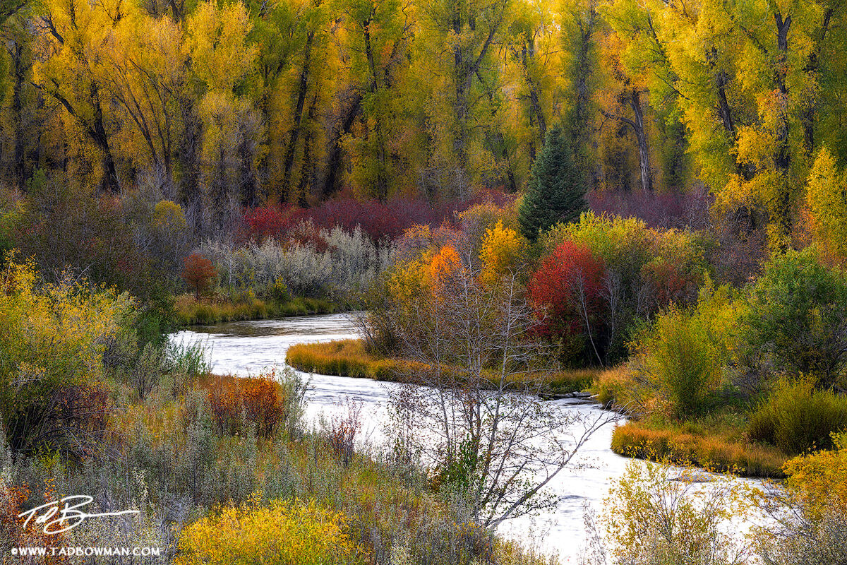 Color Fusion | Grand Teton National Park, Wyoming | Colorado Mountain ...